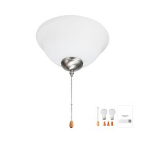 Ceiling Fan Light Kit, 750lm 3000K Bowl Shaped Fan Light Kit with Pull Chain, 2 LED Bulbs, Replacement Fixture for Living Room, Dining Room, Bedr